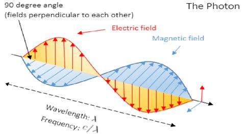 Illustration Of The Wavelength Electric And Magnetic Fields And Download Scientific Diagram