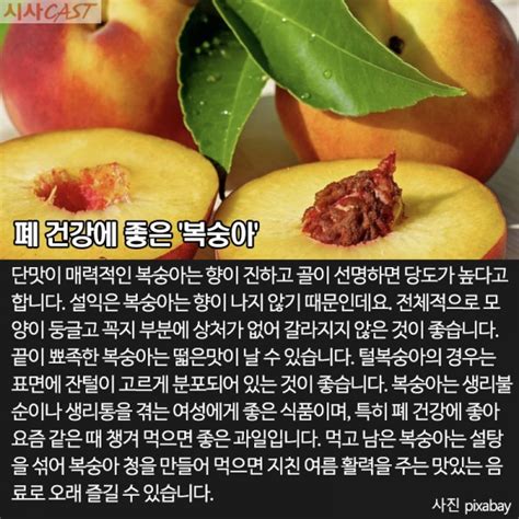 싱글족의 생활꿀팁 알고 먹으면 더 달다 맛있는 여름 과일 고르는 법and껍질 활용법 시사캐스트