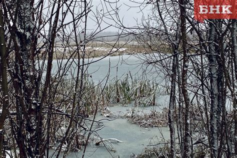 Погода в Коми морозы и снегопады ослабнут БНК