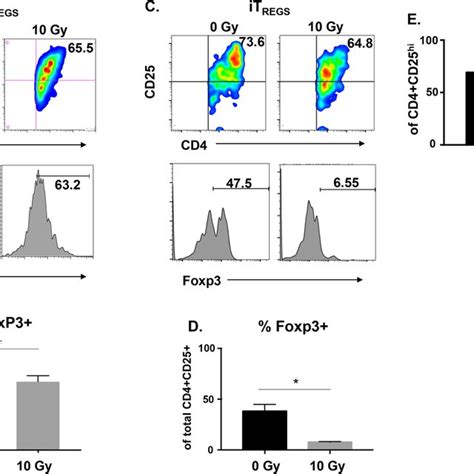 Radiation Decreases Foxp3 Expression In Natural And Induced Human