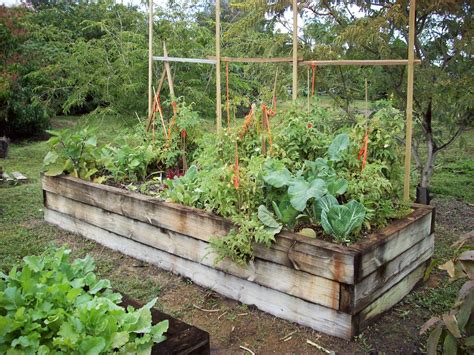 Rfvc Raised Vegetable Beds I Like Plants Flickr