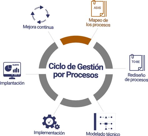 6 Pasos Para Optimizar Los Procesos De Su Organización Interact Solutions