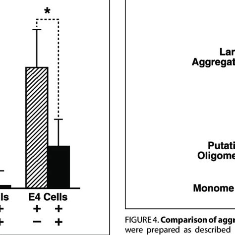 Effect Of Bafilomycin On Apoe And A Induced Dna Fragmentation In