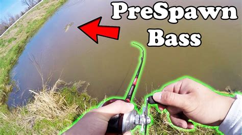 Catching Fat Pre Spawn Pond Bass Mystery Tackle Box Lures Only Youtube