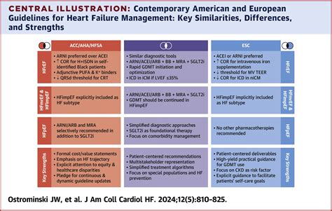 Contemporary American And European Guidelines For Heart Failure