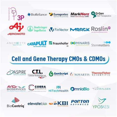 Global Database Of Cell And Gene Therapy CDMOs 2024