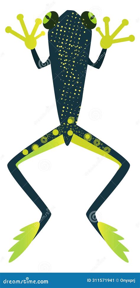 Exotic Amphibia Jumping Frog With Patterned Green Skin Stock Vector