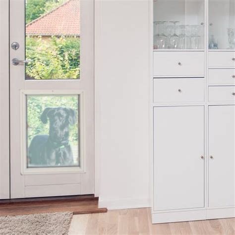 Dog Door Sizes Large Enough For The Largest Dog Breeds Including Great