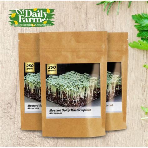 Jual Benih Microgreen Mustard Spicy Master Sprout 250 Grm Shopee