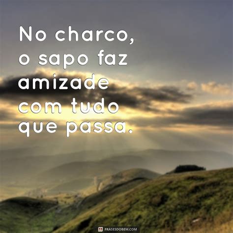 Frases Com A Palavra Sapo - Descubra Frases Criativas com a Palavra Sapo para Inspirar seu Dia ...