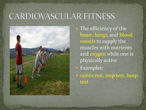 What Is Cardiovascular Fitness Simple Definition - BEST HOME DESIGN IDEAS