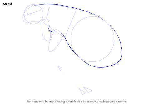 How To Draw A Flea Insects Step By Step