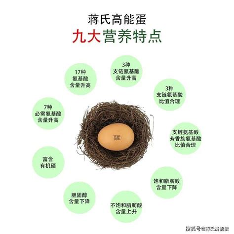 Z世代，养生潮流，食疗养生风兴起消费者