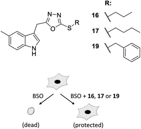 5 1H indol 3 yl methyl 1 3 4 oxadiazole 2 3H thiones 的合成及其对氧化应激的保护