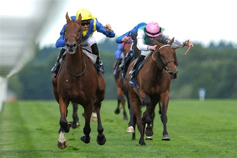 john stewart horse racing owner net worth