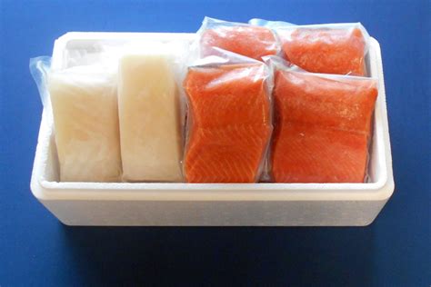 Coho Salmon and Halibut Combo - Processed Fresh Frozen Once