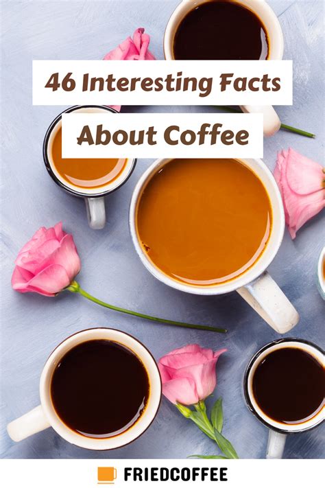 46 Interesting Coffee Facts Every Coffee Nerd Should Know Artofit