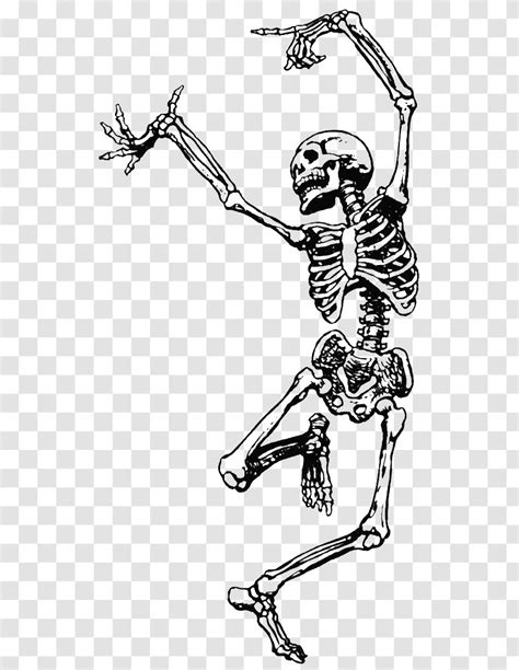 Human Skeleton Dance Skull Clip Art Transparent Png