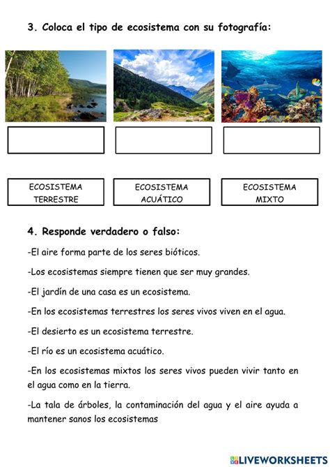 Ejercicio online de Los ecosistemas para 3º Primaria Tipos de