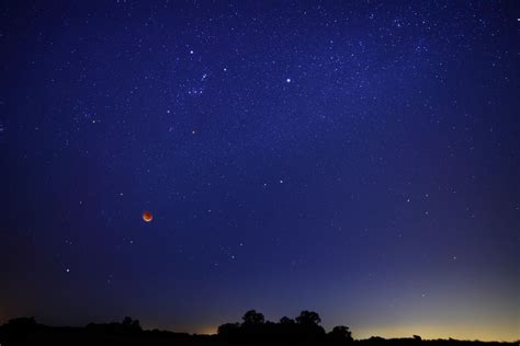 Wallpaper Silhouette Of Trees Under Blue Sky During Night Time