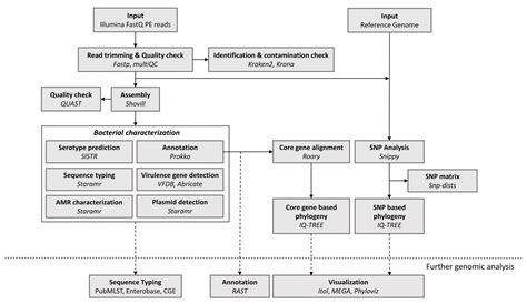 Microorganisms Free Full Text A Practical Bioinformatics Workflow