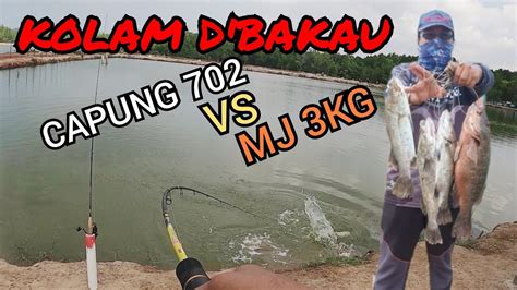 KOLAM D BAKAU CASTING UDANG KOPEK MJ VS UL YouTube