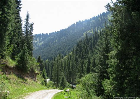 Ущелье Каракол, альплагерь. Отдых в Кыргызстане