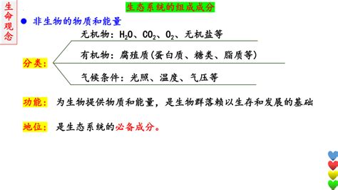 2024届高三生物一轮复习课件生态系统的结构和功能及其稳定性1共31张ppt21世纪教育网 二一教育