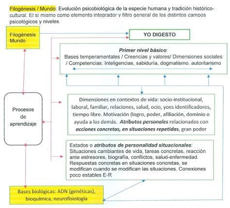 La Estructura De La Personalidad Los Rasgos Instituto Ananda