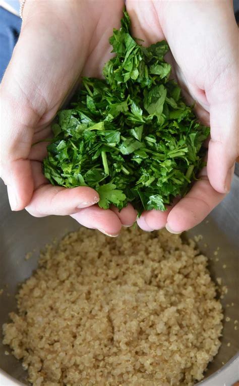 Quinoa Patties - Vegan High Tech Mom