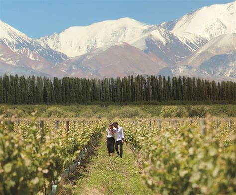 viñedo pareja Prensa Gobierno de Mendoza