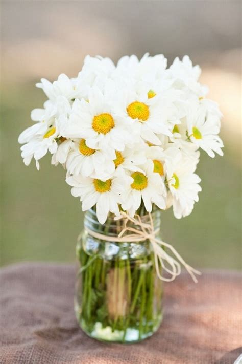 Bouquet Of Daisies Pictures, Photos, and Images for Facebook, Tumblr ...