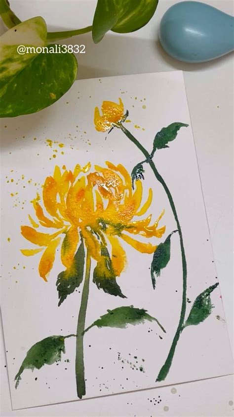 Chrysanthemum watercolor – Artofit