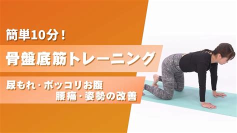 【簡単10分】骨盤底筋トレーニング ～尿もれ・ポッコリお腹・腰痛・姿勢の改善～【東洋羽毛美活お役立ち動画】 Youtube