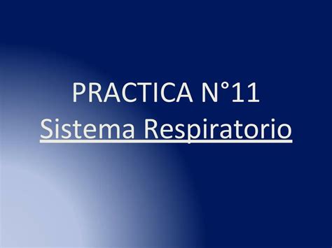 Práctica N11 Sistema respiratorio ALMENDRA MARIA VILLANUEVA PONTE