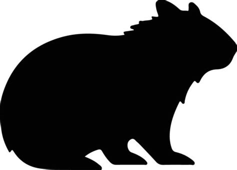 Wombat Silhouette Vector Art, Icons, and Graphics for Free Download