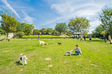 施設案内 世界の名犬牧場