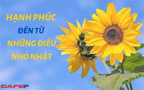 Vi C H Harvard Khuy N N N L M T N H Ng H Nh Ph C B T U N M