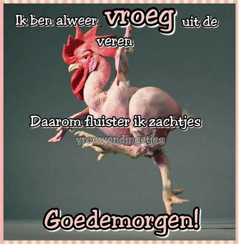 Pin Van Jeannette E Op Teksten Goedemorgen Grappig Grappig