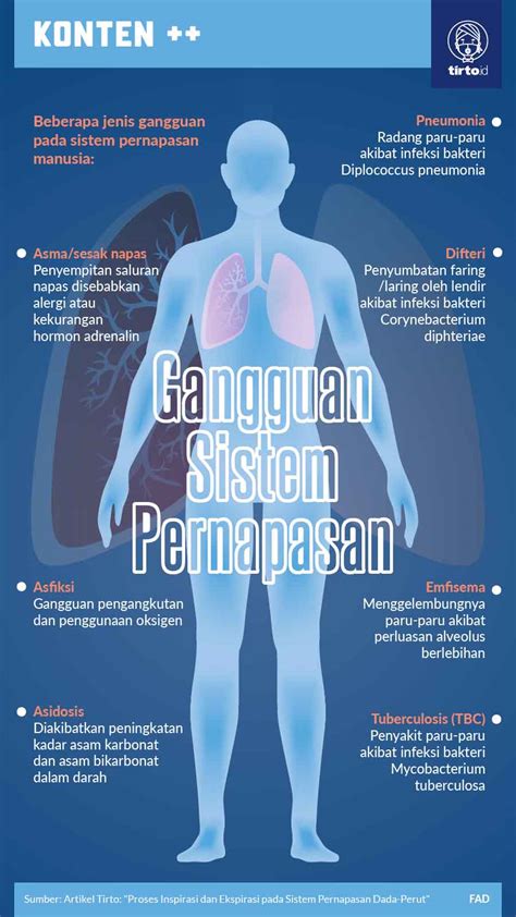 Proses Yang Terjadi Pada Pernapasan Manusia Pada Percobaan Ini Adalah