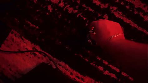 Sex Dungeon Videos Page 1 XVIDEOS