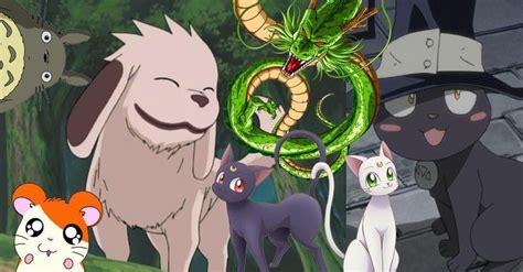 The Best Animal Characters in Anime | Anime, Anime animals, Shonen