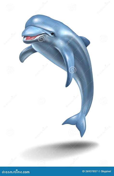 dolphin jump stock illustration illustration  performance