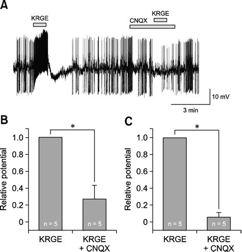 Korean Red Ginseng Extract KRGE Mediated Membrane Potential Changes