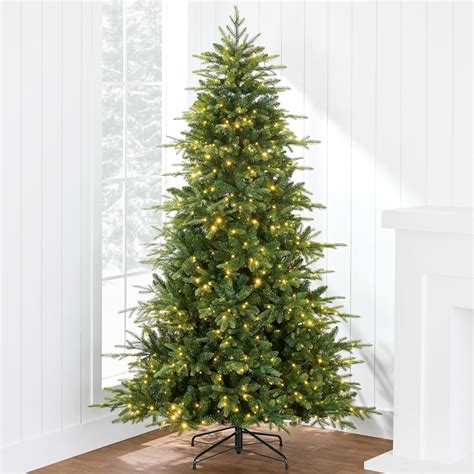 home decorators collection christmas tree 6