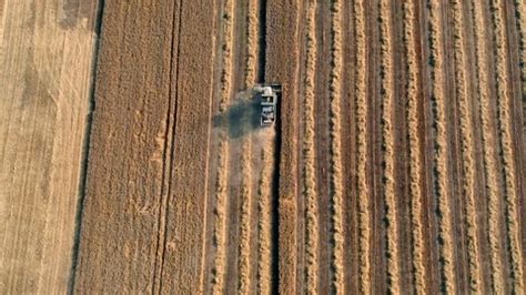 Harvester On A Wheat Field Harvests Aer Stock Video Pond5