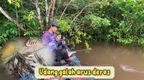 Trip Mancing Udang Galah Di Arus Deras Di Guyur Hujan Alhamdulillah