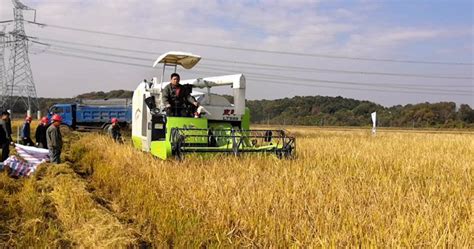 The introduction of combine harvester types and price around the world - Wubota Harvester