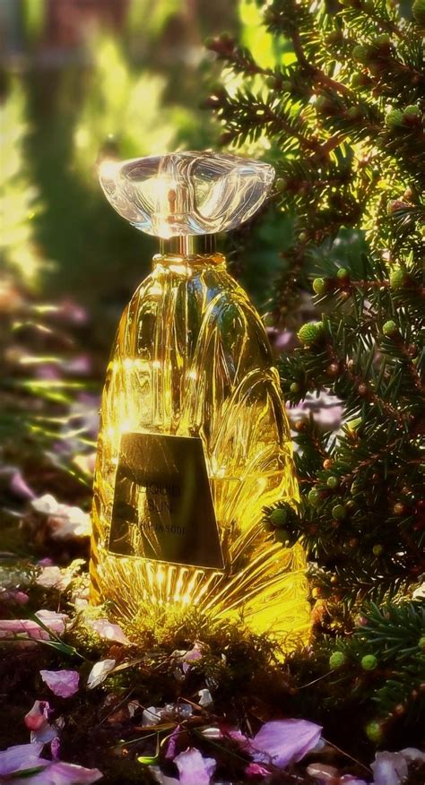 Liquid Sun Thalia Sodi Perfume A Fragrance For Women 2019