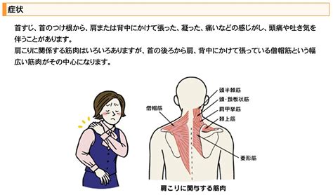 生理学を駆使して肩こりと向き合う 臨床家の学校 集 Tsudoi